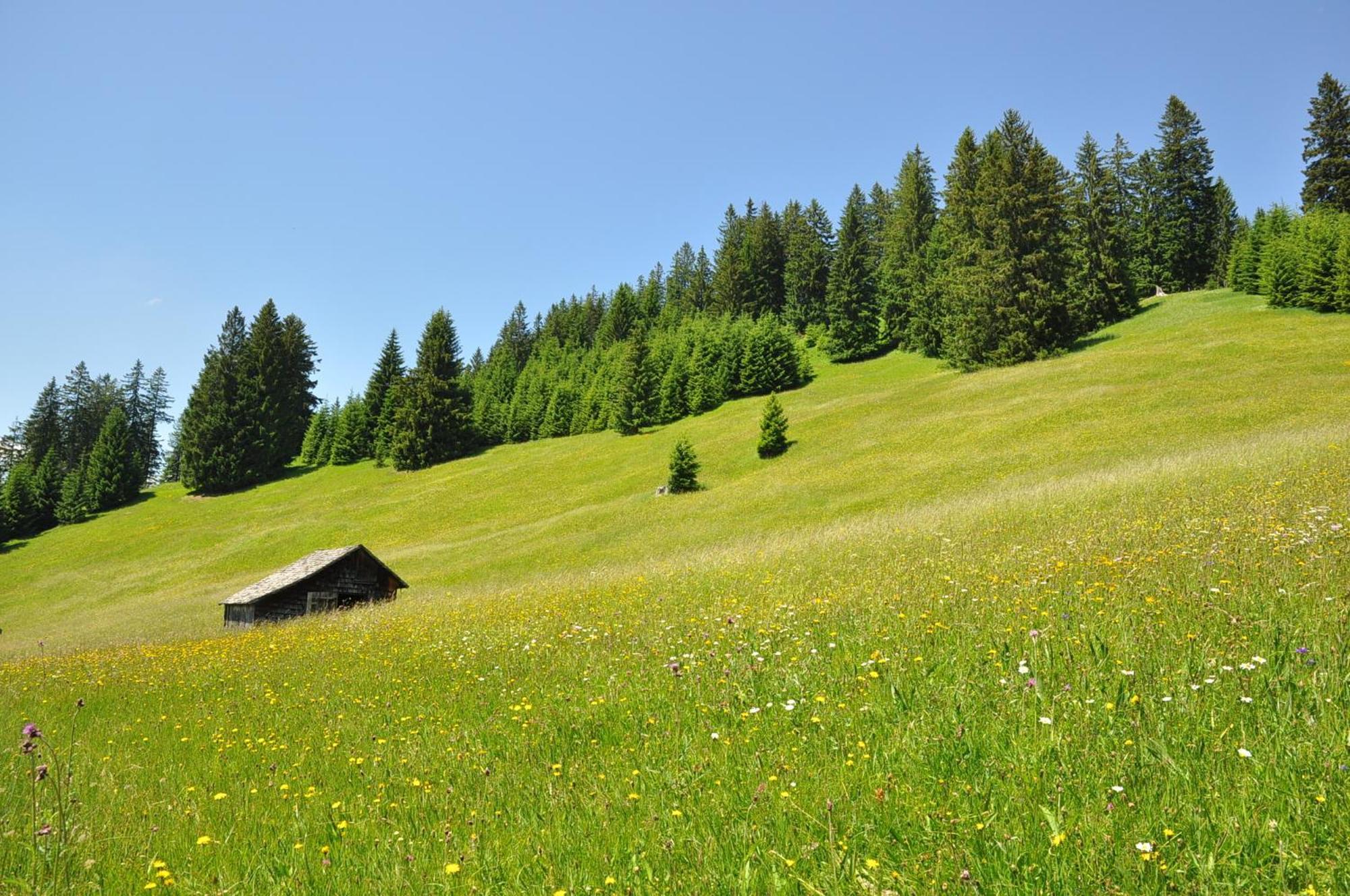 Landhaus Alpensonne Schattwald Esterno foto